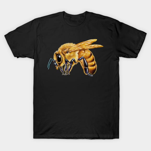 Honey Bee T-Shirt by Tim Jeffs Art